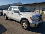 2009 Ford F150 Supercrew Белый vin: 1FTPW14V19FB06928