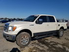 1FTPW14V39FA06362