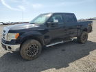 1FTPW14V69FA02290