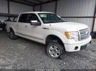 1FTPW14V89FA83941