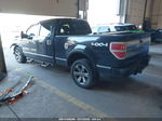 2009 Ford F-150 Fx4/king Ranch/lariat/platinum/xl/xlt Black vin: 1FTPW14V89FB12810
