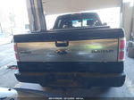 2009 Ford F-150 Fx4/king Ranch/lariat/platinum/xl/xlt Black vin: 1FTPW14V89FB12810