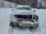 2005 Ford F150  Белый vin: 1FTPX04565KE80671