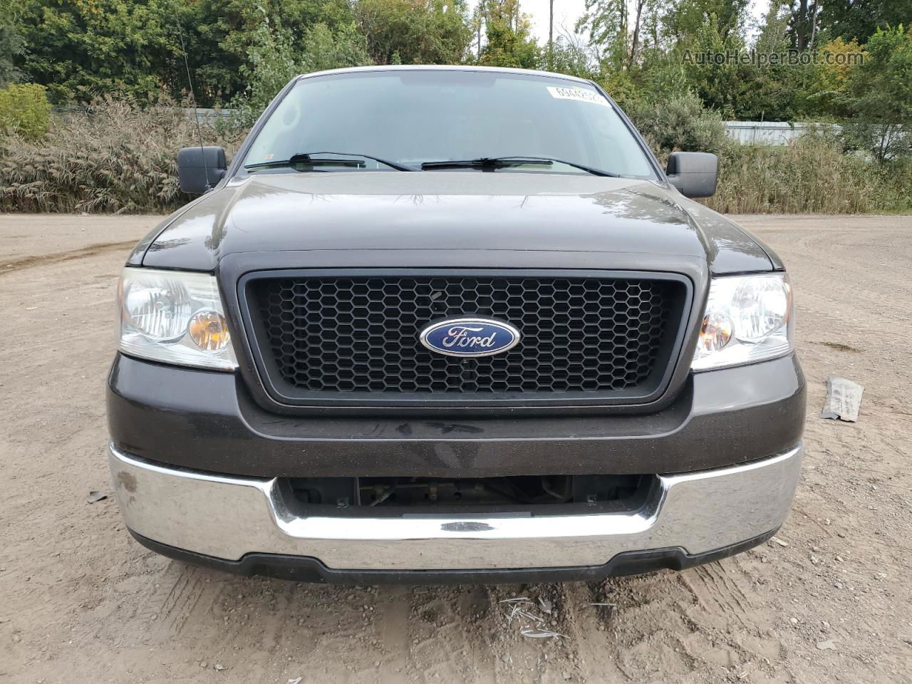 2005 Ford F150  Серый vin: 1FTPX12505NB63668