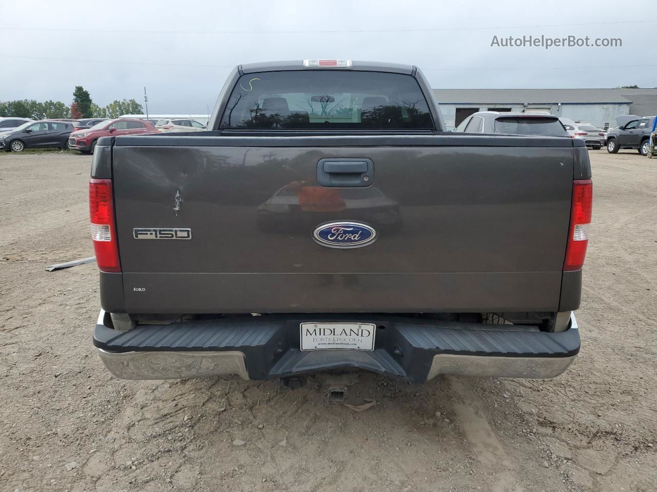 2005 Ford F150  Серый vin: 1FTPX12505NB63668