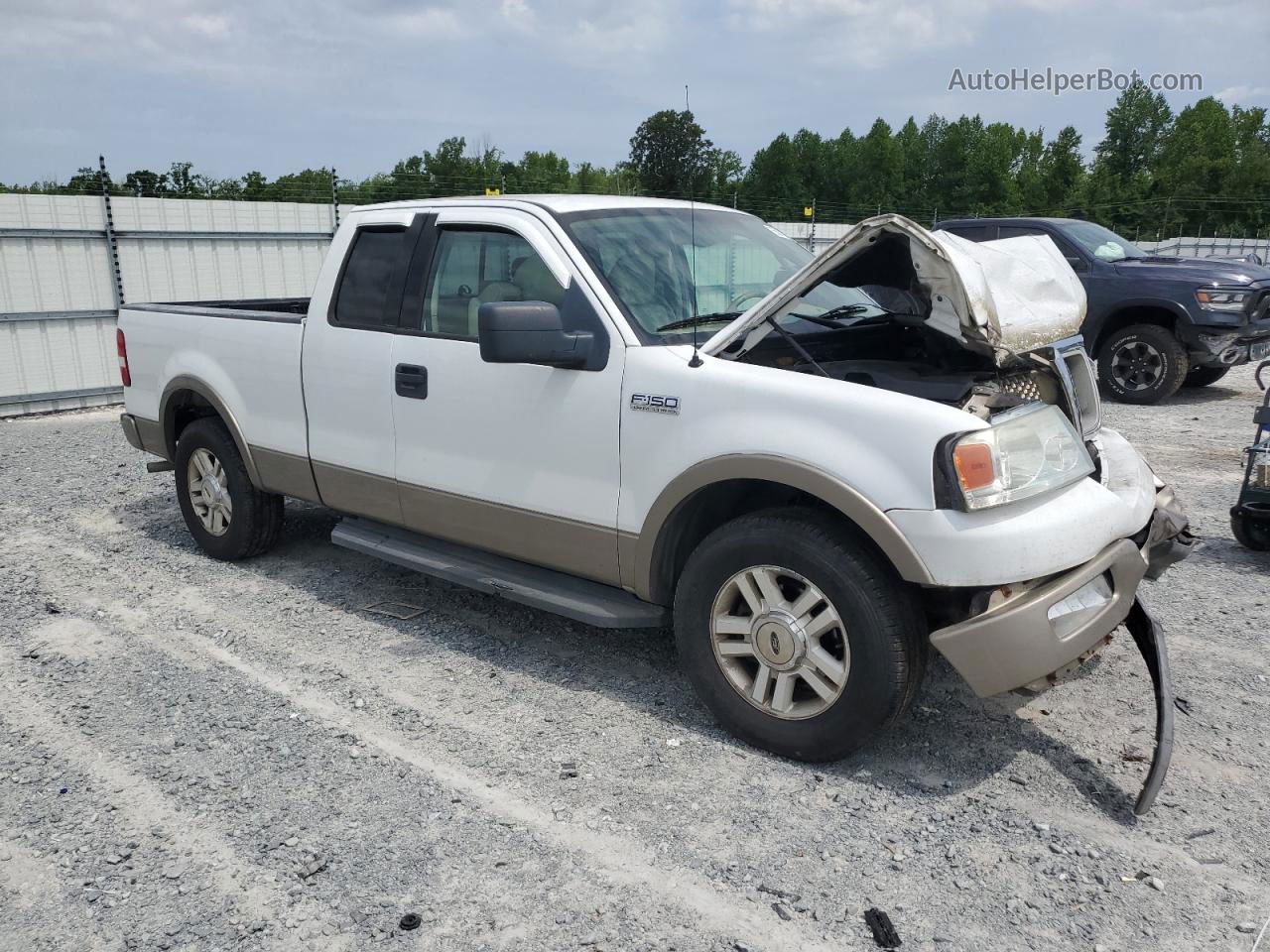 2004 Ford F150  Белый vin: 1FTPX12514NC53071