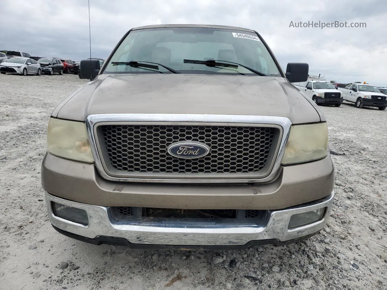 2005 Ford F150  Tan vin: 1FTPX12515NA35956