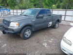 2004 Ford F-150 Lariat/xl/xlt Gray vin: 1FTPX12544NB18568