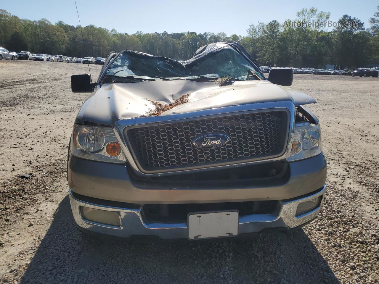 2004 Ford F150  Tan vin: 1FTPX12544NB55412