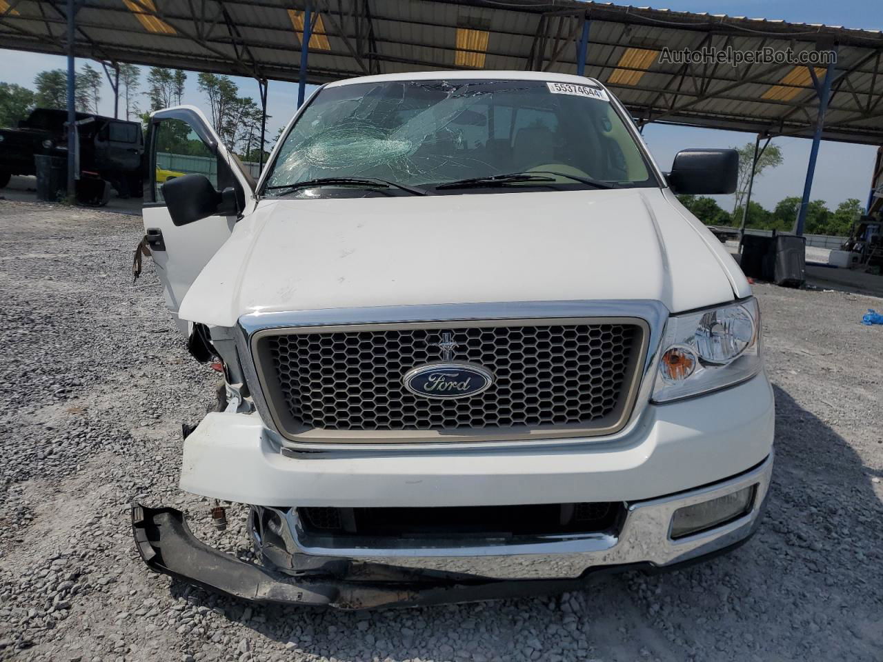 2004 Ford F150  White vin: 1FTPX12594NA71117