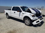 2005 Ford F150  White vin: 1FTPX12595NA59969