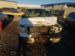 2005 Ford F150  Белый vin: 1FTPX12595NB62289