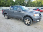 2004 Ford F150  Gray vin: 1FTPX14504KD23643