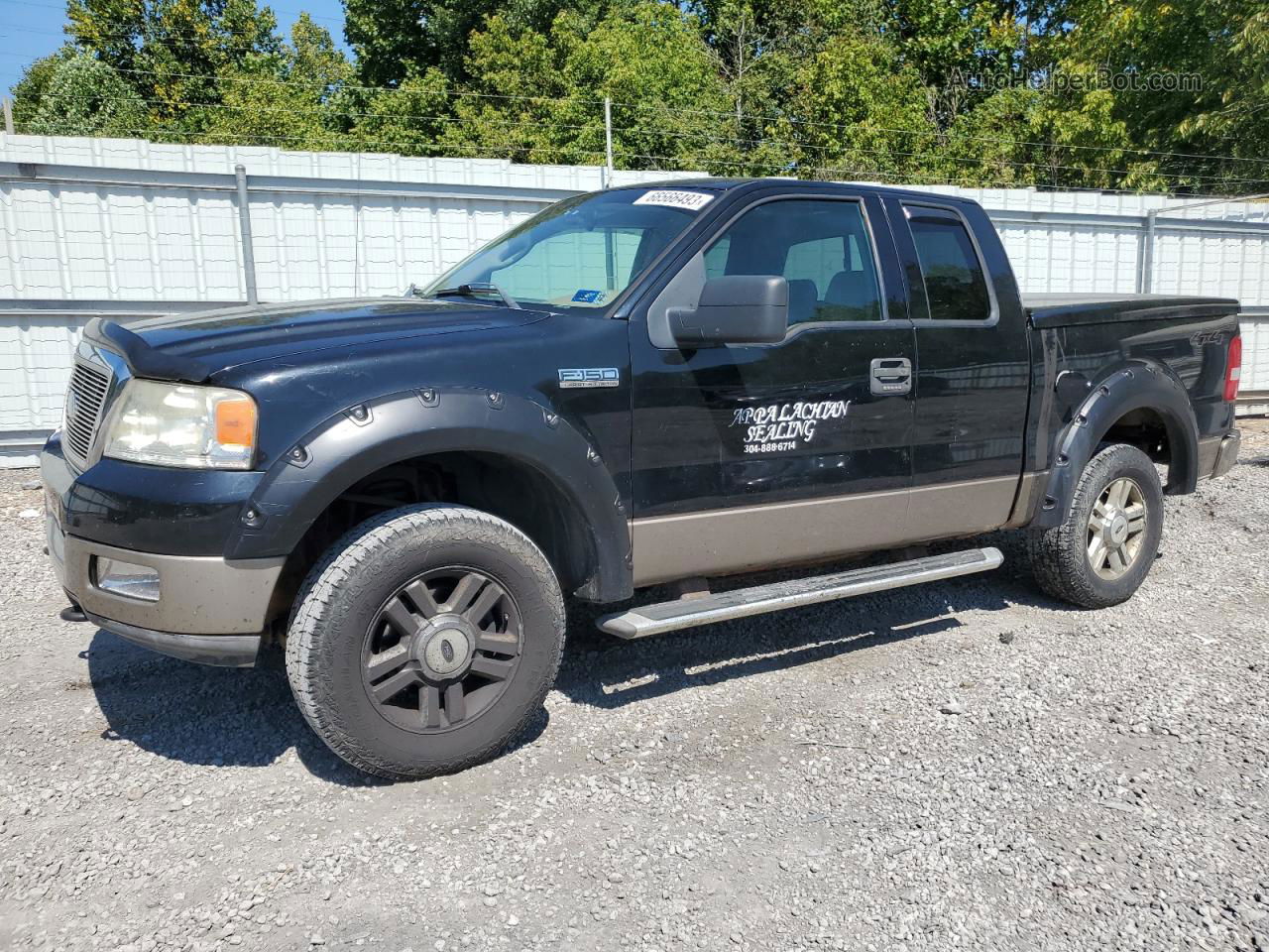 2004 Ford F150  Черный vin: 1FTPX14544KD94392