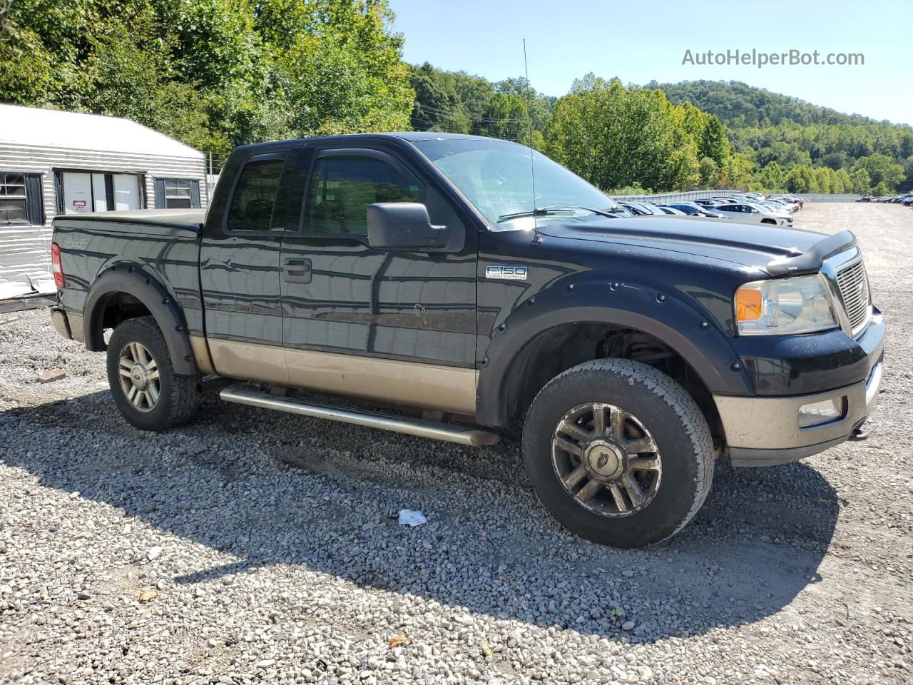 2004 Ford F150  Черный vin: 1FTPX14544KD94392