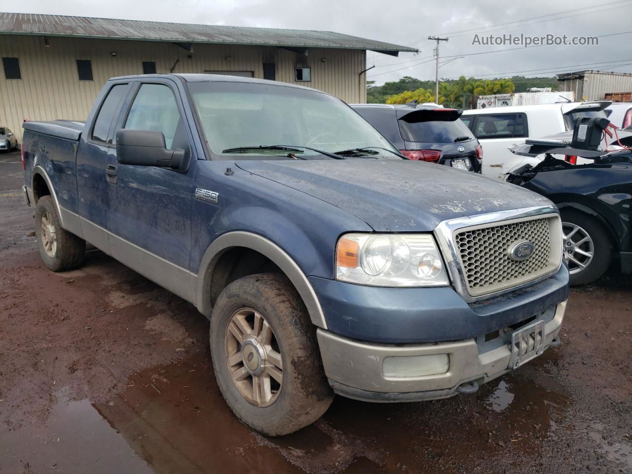 2004 Ford F150  Синий vin: 1FTPX14544NB28983