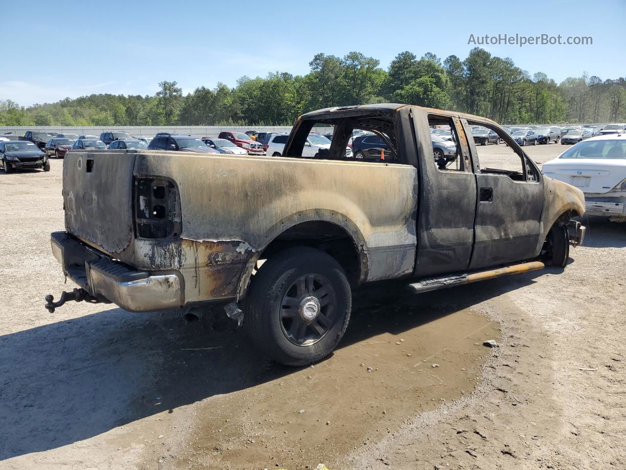 2004 Ford F150  Burn vin: 1FTPX14544NC34897