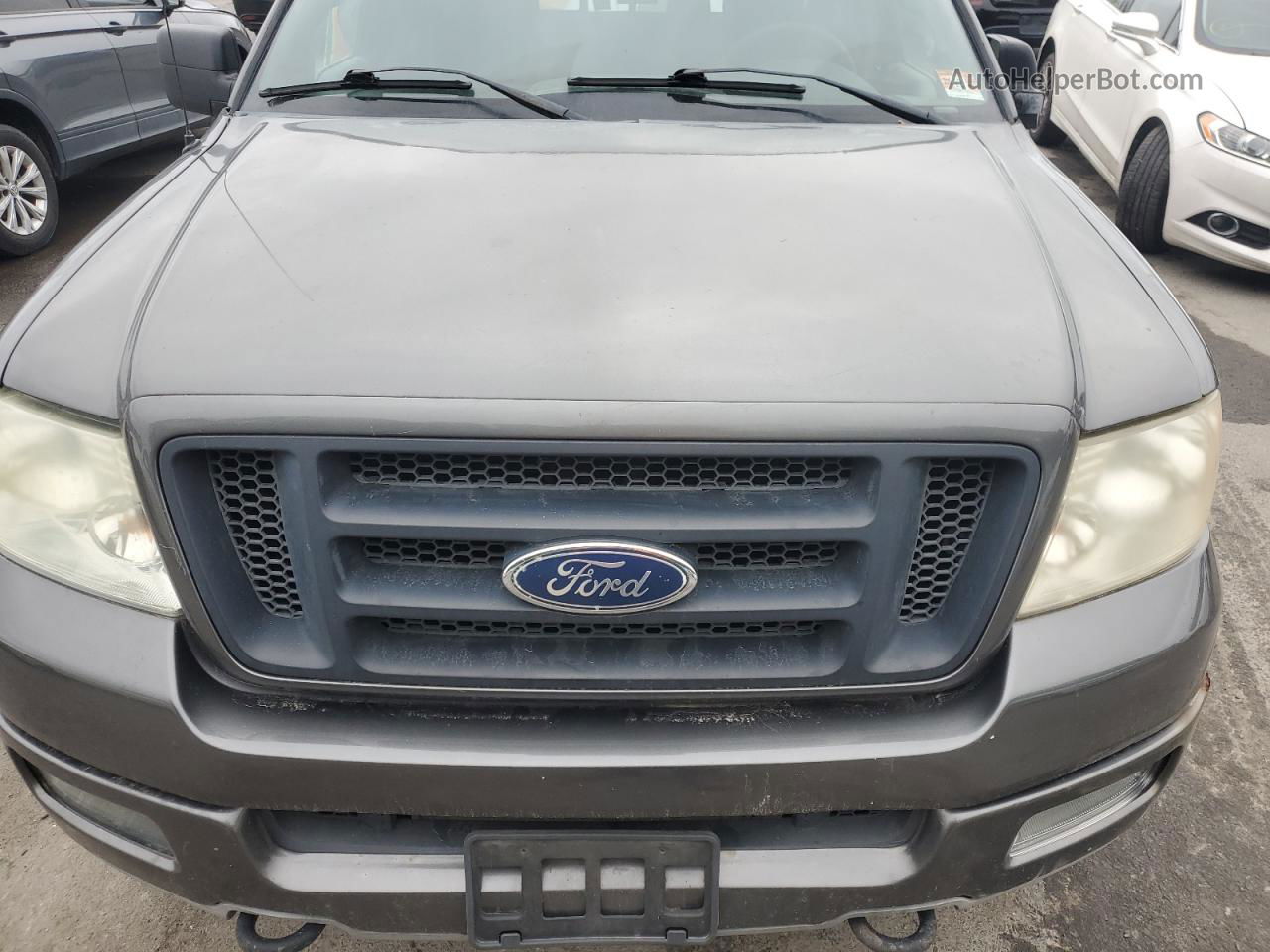 2004 Ford F150  Charcoal vin: 1FTPX14554NB75990