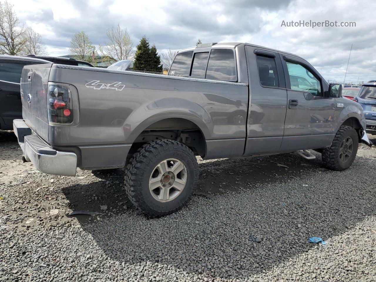 2005 Ford F150  Серый vin: 1FTPX14575FA18599