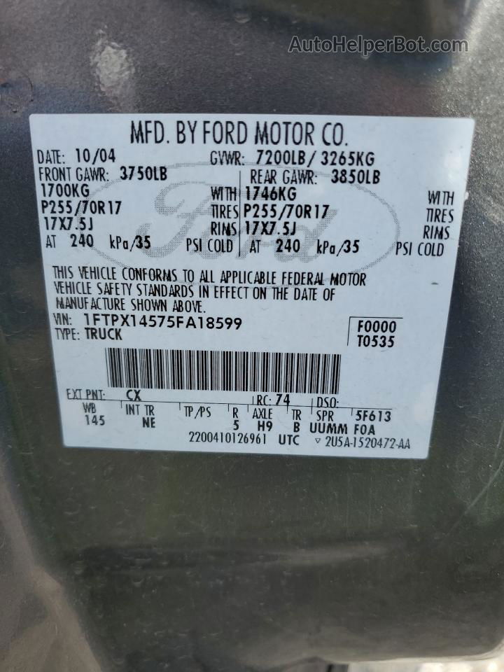 2005 Ford F150  Gray vin: 1FTPX14575FA18599