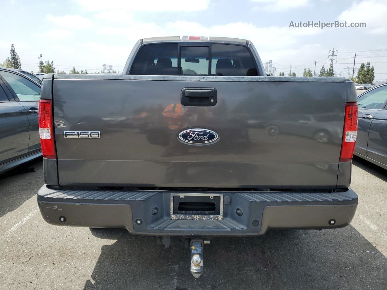 2005 Ford F150  Gray vin: 1FTPX14585NA09187