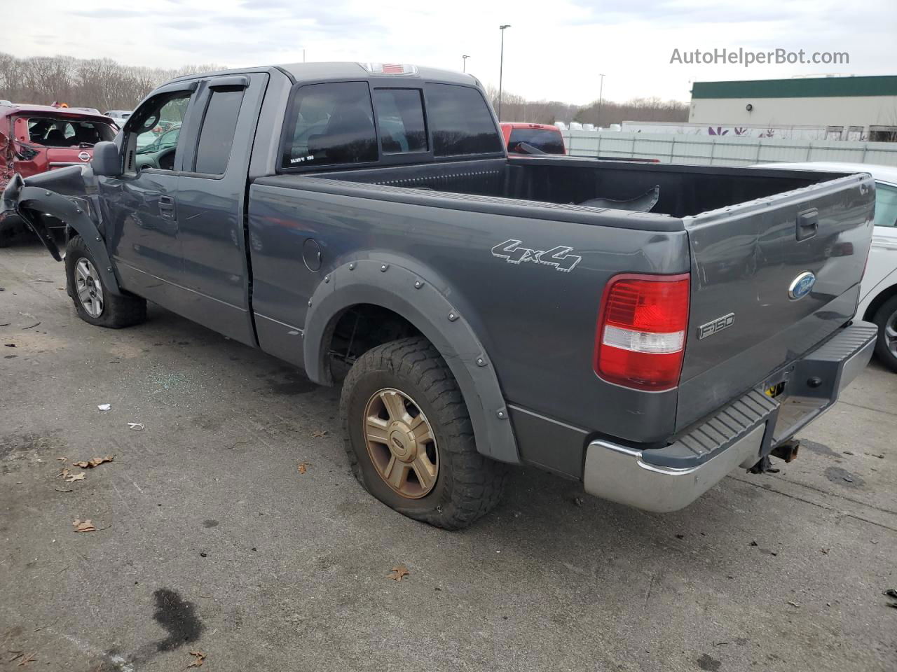 2004 Ford F150  Серый vin: 1FTPX14594NA95009