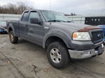 2004 Ford F150  Серый vin: 1FTPX14594NA95009