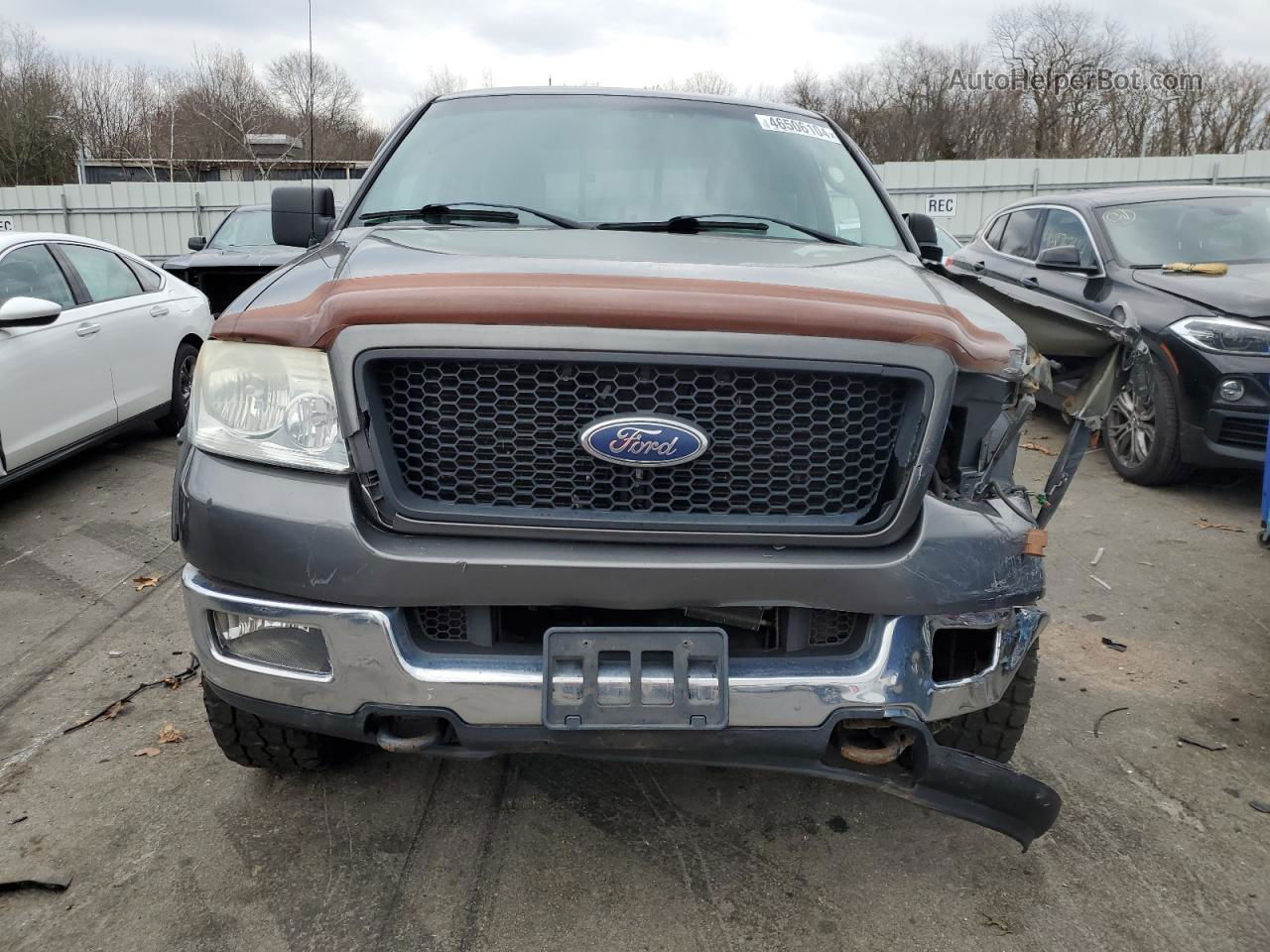 2004 Ford F150  Gray vin: 1FTPX14594NA95009