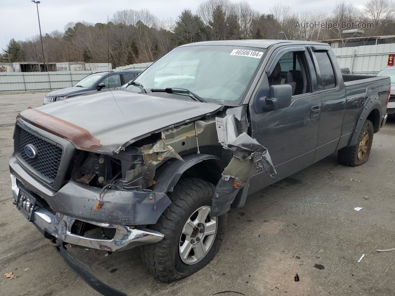 2004 Ford F150  Gray vin: 1FTPX14594NA95009