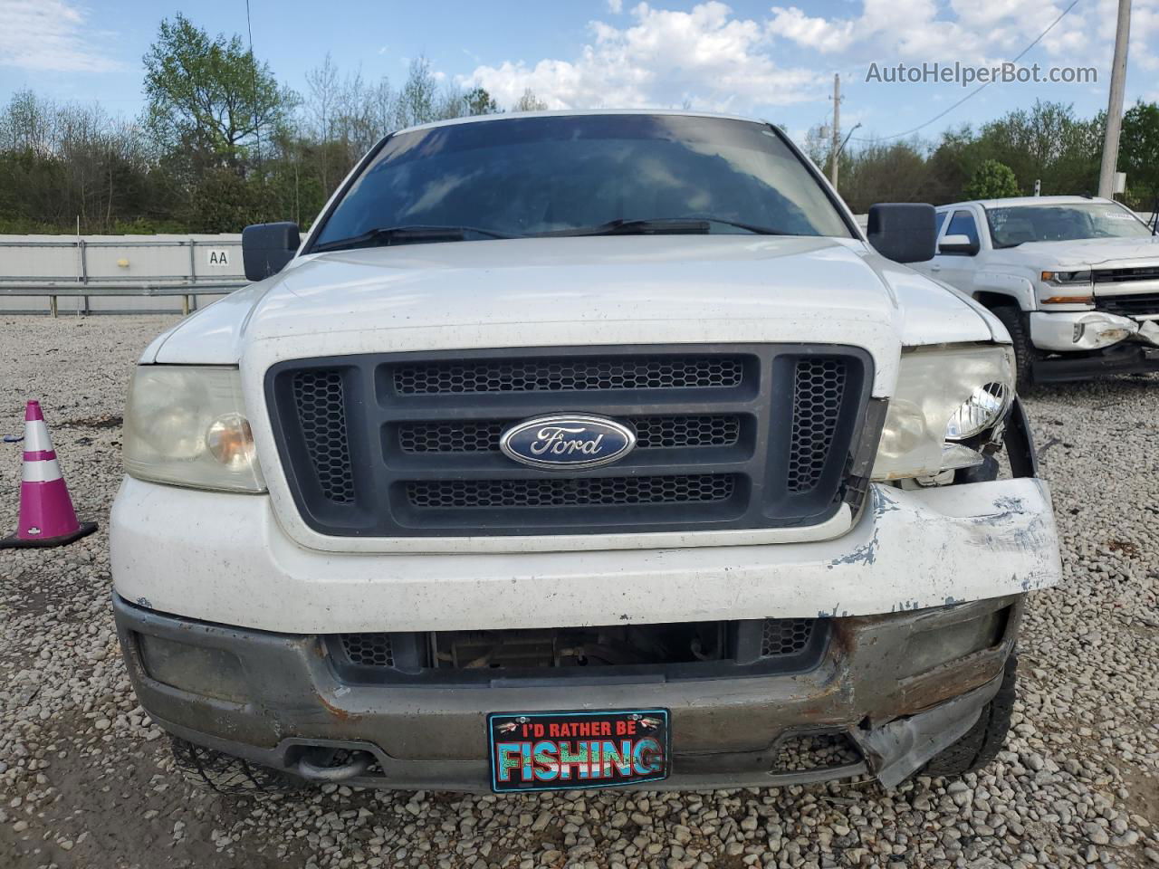 2005 Ford F150  White vin: 1FTPX14595FA52267