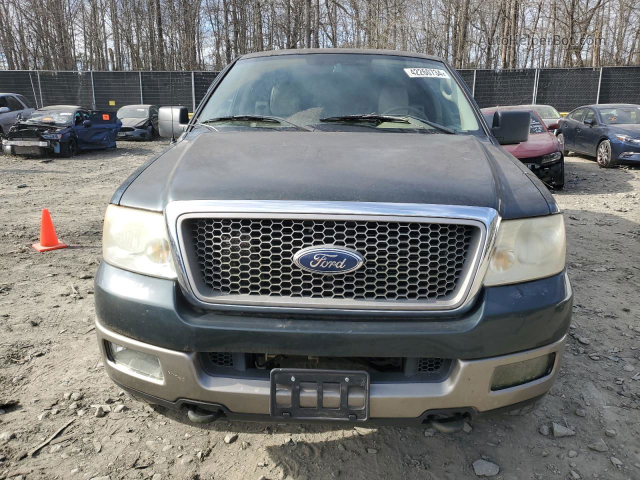 2005 Ford F150  Green vin: 1FTPX14595NA90894