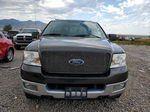 2005 Ford F150  Charcoal vin: 1FTPX145X5FB43807