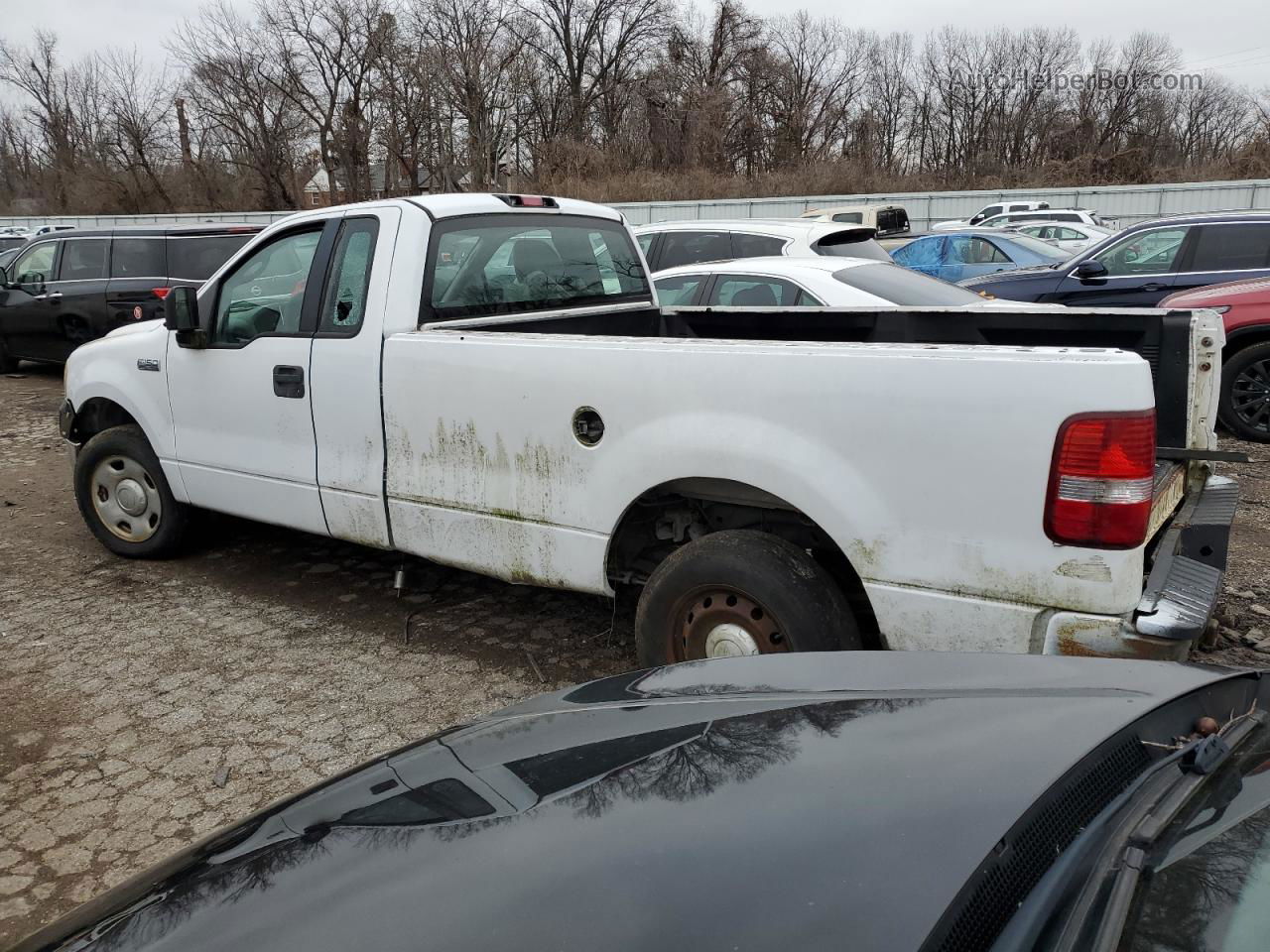 2005 Ford F150  White vin: 1FTRF12235NB92275