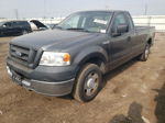 2005 Ford F150  Gray vin: 1FTRF12W05NA13418