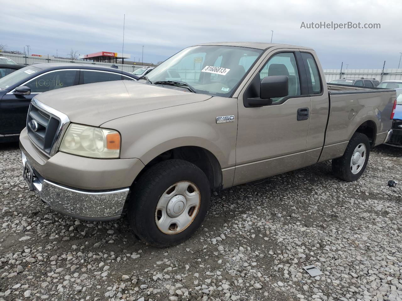 2004 Ford F150  Beige vin: 1FTRF12W14NA81080