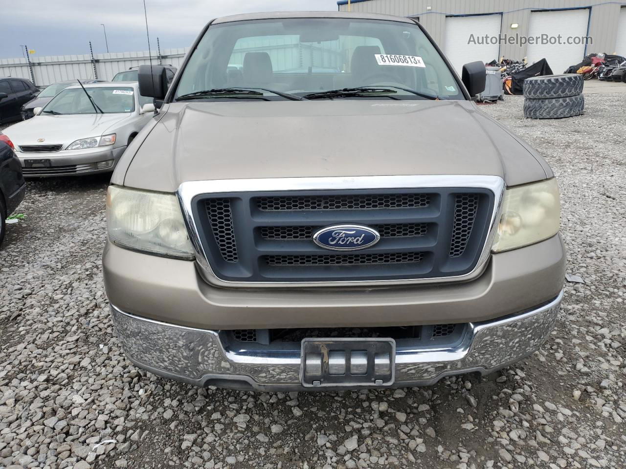 2004 Ford F150  Beige vin: 1FTRF12W14NA81080