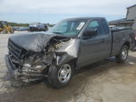 2005 Ford F150  Gray vin: 1FTRF12W25NA34710