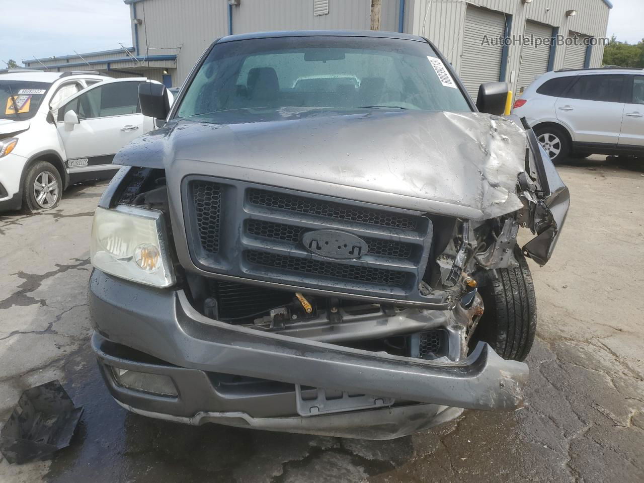 2005 Ford F150  Серый vin: 1FTRF12W25NA34710