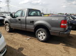 2004 Ford F150  Gray vin: 1FTRF12W44NA74513