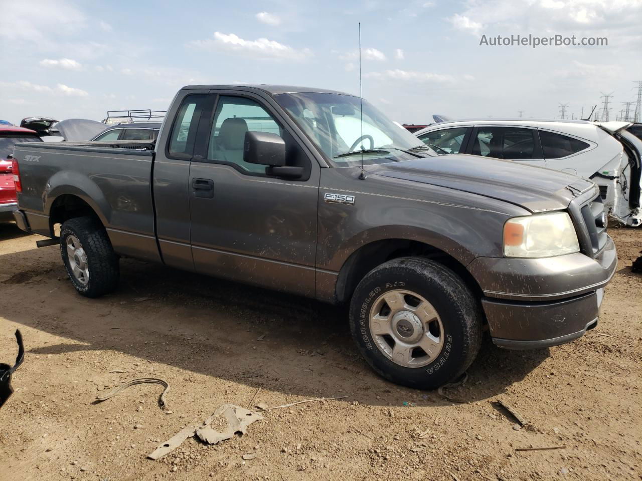 2004 Ford F150  Gray vin: 1FTRF12W44NA74513