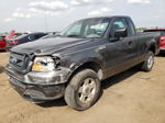 2004 Ford F150  Gray vin: 1FTRF12W44NA74513