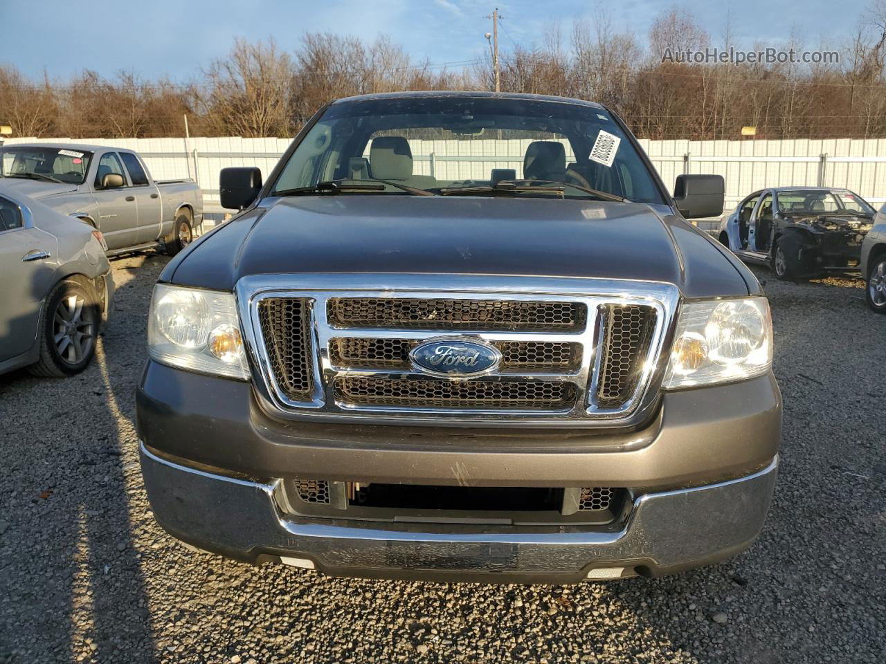 2005 Ford F150  Gray vin: 1FTRF12W45NA63920