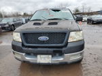 2004 Ford F150  Black vin: 1FTRF12W64NA76991