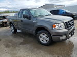 2004 Ford F150  Gray vin: 1FTRF12W64NC65477