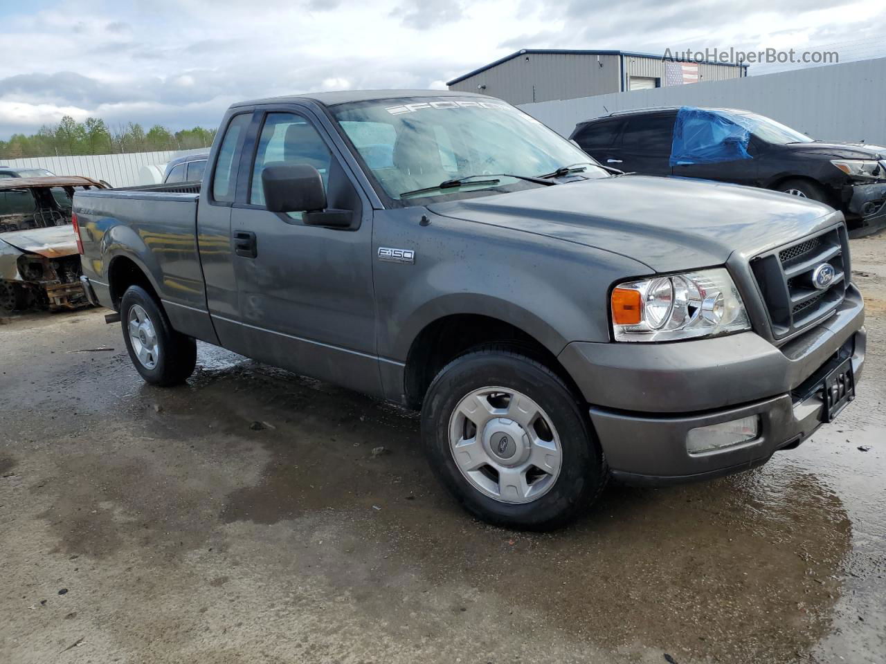 2004 Ford F150  Gray vin: 1FTRF12W64NC65477