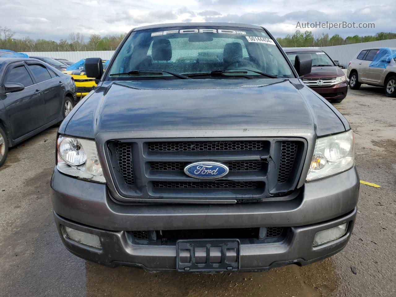 2004 Ford F150  Gray vin: 1FTRF12W64NC65477