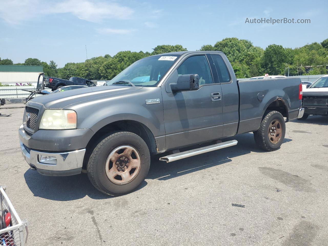 2004 Ford F150  Серый vin: 1FTRF14W74NB40971