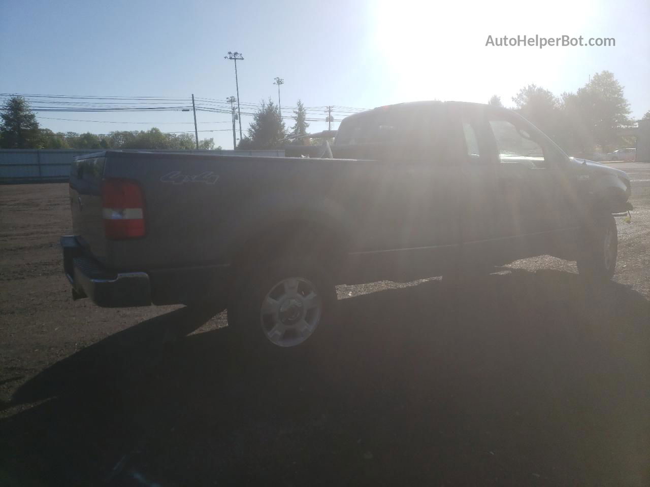 2004 Ford F150  Серый vin: 1FTRF14W94NB64124