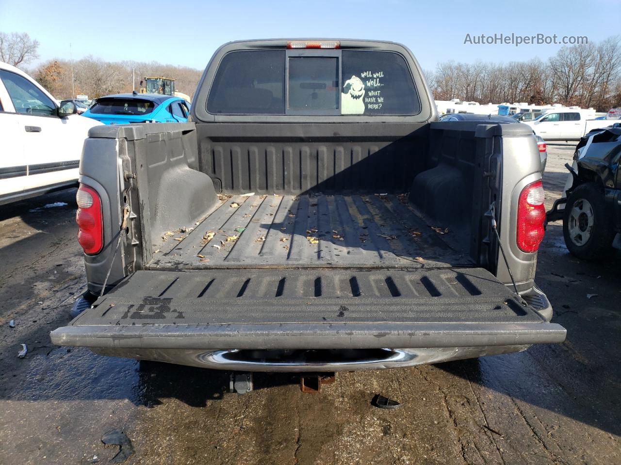 2003 Ford F150 Supercrew Gray vin: 1FTRW07603KD69174