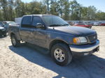 2003 Ford F150 Supercrew Gray vin: 1FTRW08L23KC09415